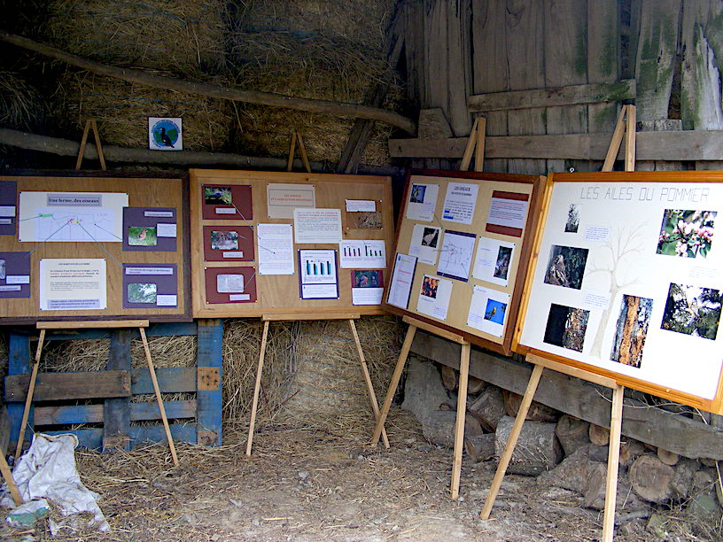 Saint-Senier-sous-Avranches - J'ai rencontré Adrien Lechartier à la suite d'une commande pour le GONm dans le cadre d'une enquête organisée à l'échelle nationale (Indibio). Je suis allé compter les oiseaux sur sa ferme selon le protocole imposé. Sa ferme bio était intéressante et Adrien ouvert aux questions de biodiversité. Il est entré dans le réseau des refuges et c'est à cette occasion qu'il a invité le GONm à participer à sa journée portes ouvertes. J'ai utilisé les quelques données déjà collectées pour compléter des généralités sur l'intérêt de l'agriculture bio pour les oiseaux, publiées dans des revues internationales. Le cadre "champêtre" est bien dans la couleur de la manifestation!... (Les supports de Charles sont ici d'un grand secours.)