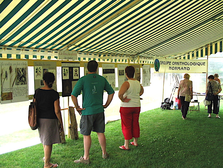 Crévecoeur - oiseaux et zones humides - Pris de vitesse par la demande, je me suis contenté de cartons écrits à la main ("De l'eau, des plantes, des oiseaux"). Les plantes séchées tenaient assez de place pour appeler l'oeil. De mémoire, la manifestation organisée par les responsables du château ne fut pas une réussite. Reste que pouvoir compter sur l'abri d'un chapiteau, c'était le grand luxe!...