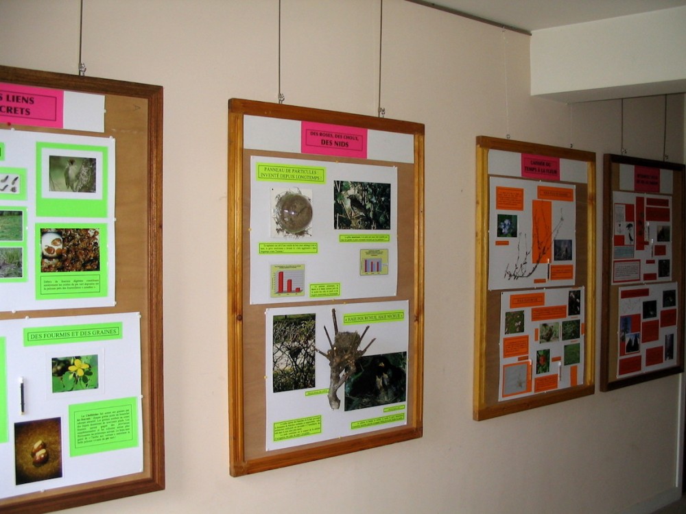 20060310 Avranches bibliothèque.jpg (257.13 Kio) Vu 13819 fois Avranches - bibliothèque - J'ai pu souvent proposer au pied levé une exposition au responsable, ce qui ne fut plus le cas quand il a fallu s'inscrire dans un planning annuel dressé par son successeur! Notre collaboration fut efficace lors du concours que le GONm organisa avec les écoles de la ville et des commerçants financeurs qui prêtaient aussi leur vitrine pour exposer les cartons illustrant les questions à résoudre. La bibliothèque mis en valeur les ouvrages qui pouvaient aider les "chercheurs".