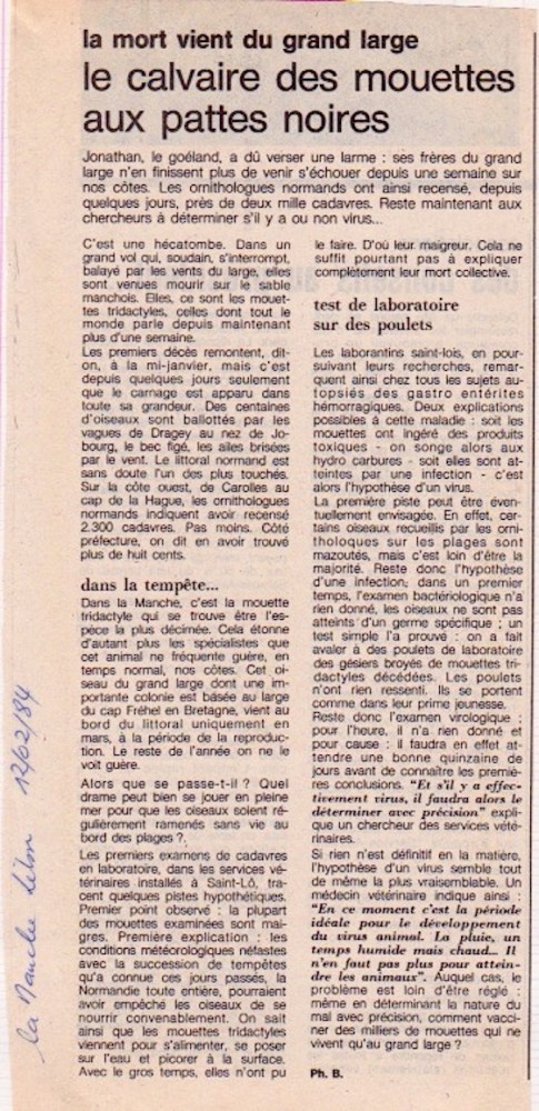 H.jpeg (301.43 Kio) Vu 13754 fois La Manche Libre, édition du 12 février 1984. L'article cite la somme de 2300 cadavres ramassés depuis la mi janvier. Et ce chiffre ne représente que la partie venue s'échouer sur le rivage. Combien d'oiseaux sont réellement morts en mer?... L'article fait la synthèse des hypothèses en cours.