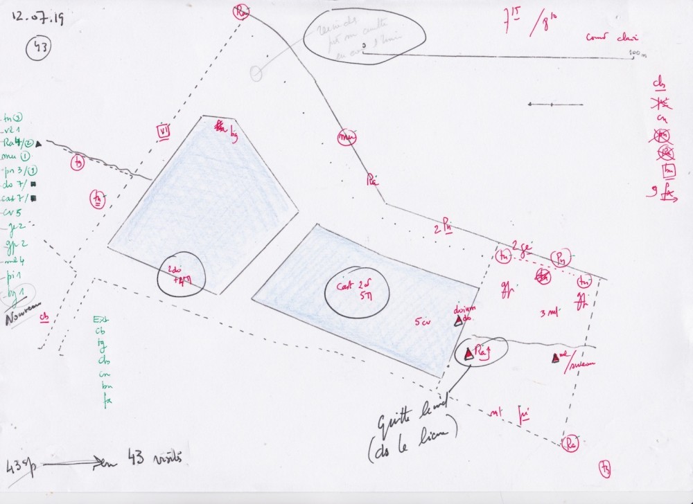 le relevé de terrain sur plan. Le ramier couve dans le lierre, la famille de merle circule dans la peupleraie (nid dans un sureau)