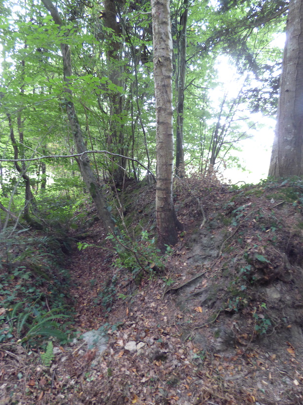 Une trace bien nette du système &quot;fossé-talus&quot; : en bocage à talus comme ici dans le Mortainais, les paysans creusaient un fossé, parfois des deux côtés, pour dresser un talus à partir de la terre (et des pierres) latérales. Du coup, bien souvent le talus était nommé &quot;fossé&quot;.  Même dans les taillis, on trouvait des talus qui servaient à délimiter les propriétés.