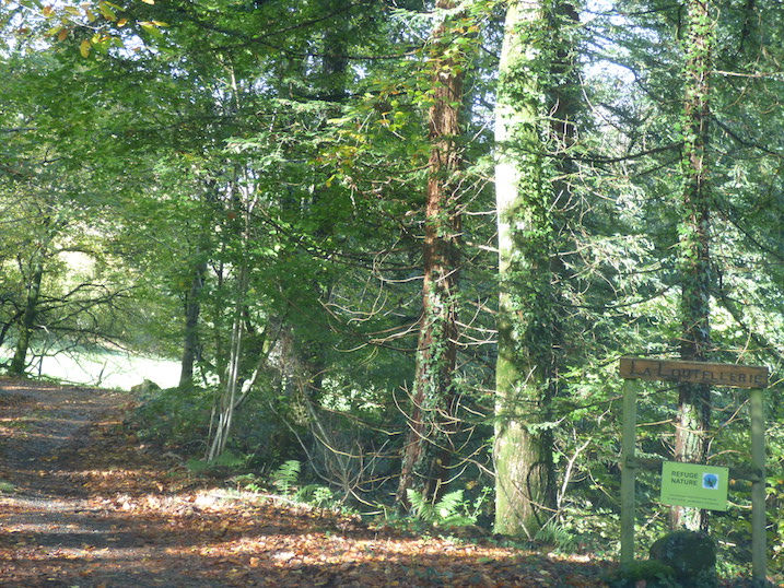 Un beau bocage ancien inséré dans un réseau de bois, un magnifique  écrin pour cette pancarte &quot;refuge&quot; à l'entrée...