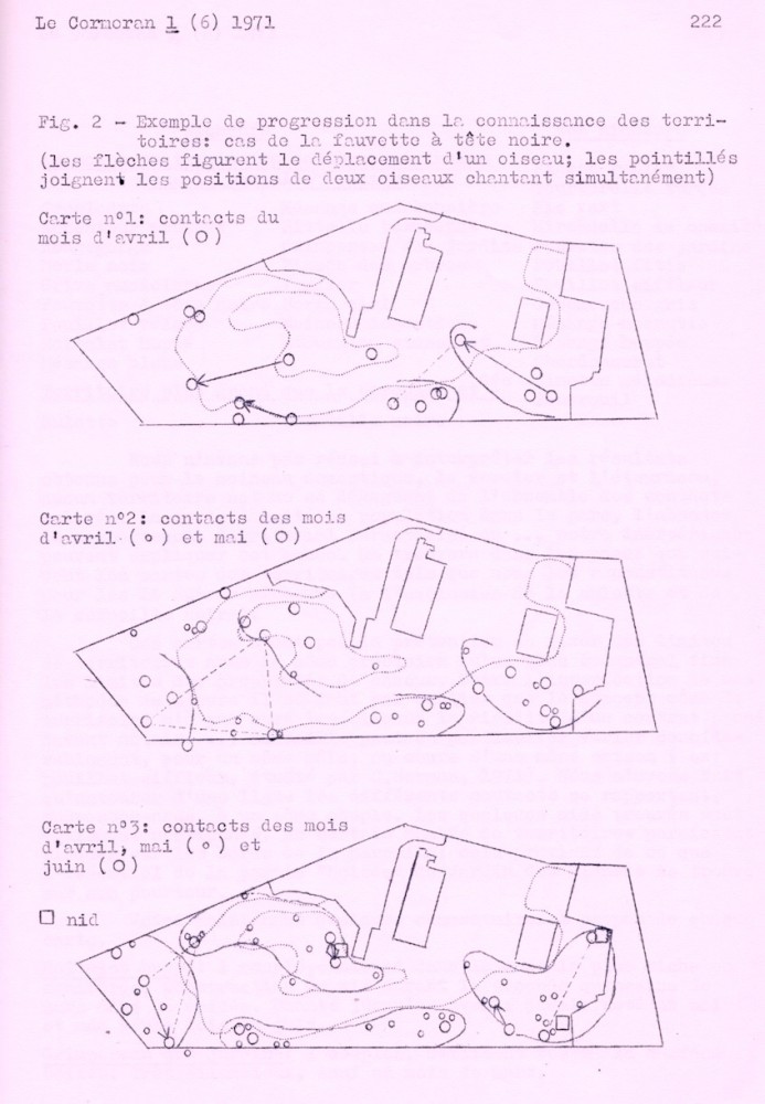 Délimitation progressive des territoires de la fauvette à tête noire sur le quadrat du jardin des plantes (page 222)