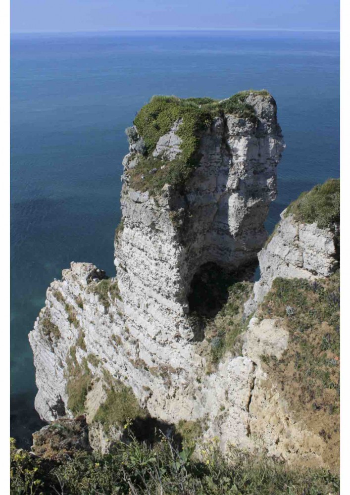 Nids de goéland argenté sur la Porte d'Aval (Photo Sophie Guillotin)