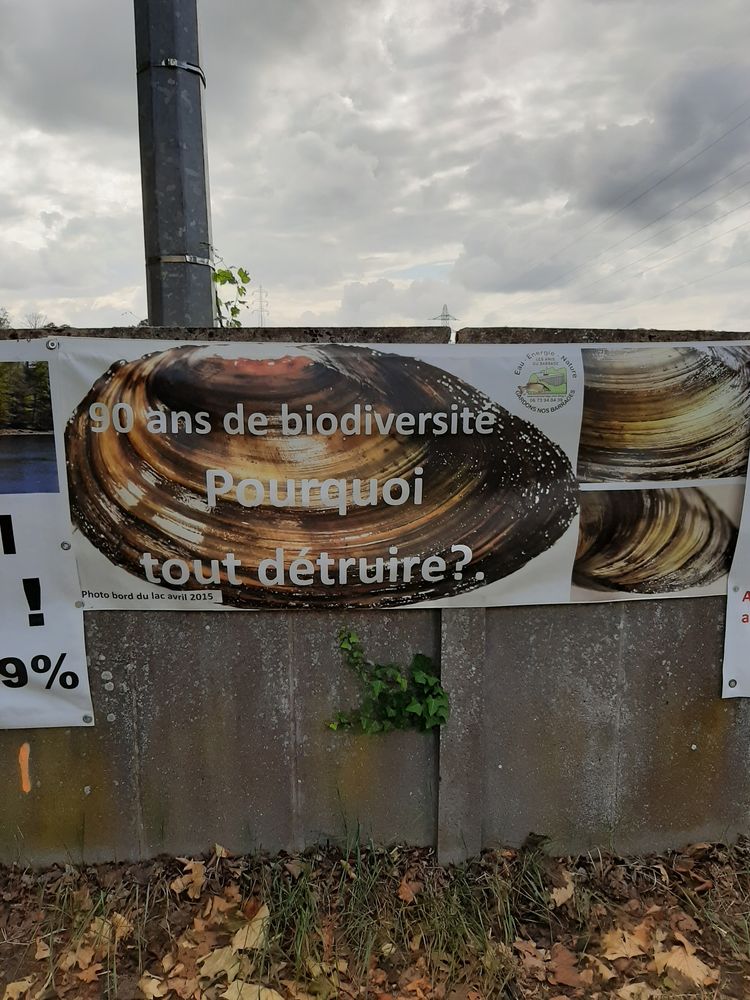 Les restes de la contestation du projet : ça se discute. Les saumons contre les moules?