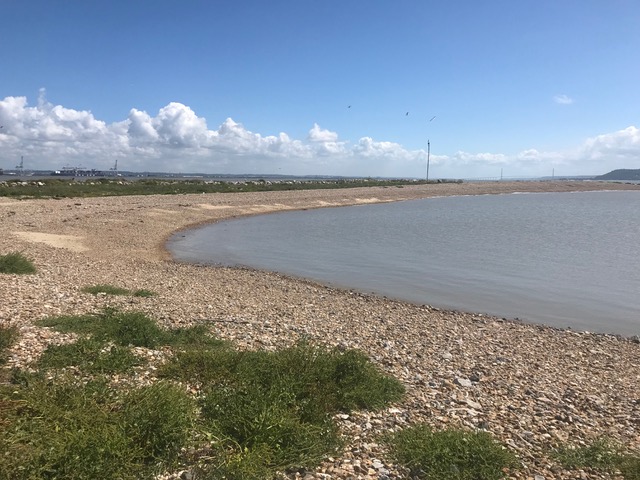 Ilot du ratier vue vers le Havre et Pont de Normandie.jpeg