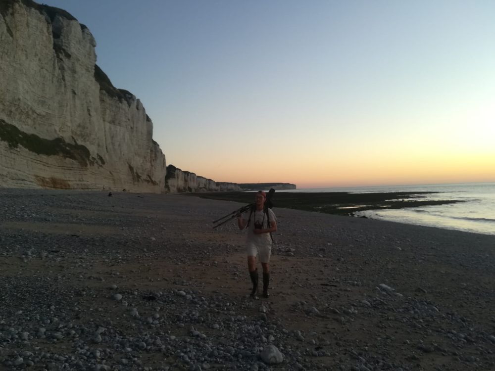 L'observateur au pied des falaises à fulmar