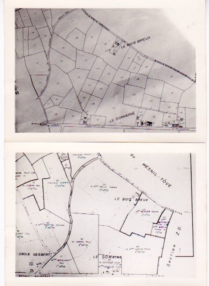 Parcellaire du quadrat: en haut situation initiale, en bas pré projet (photos J Collette)