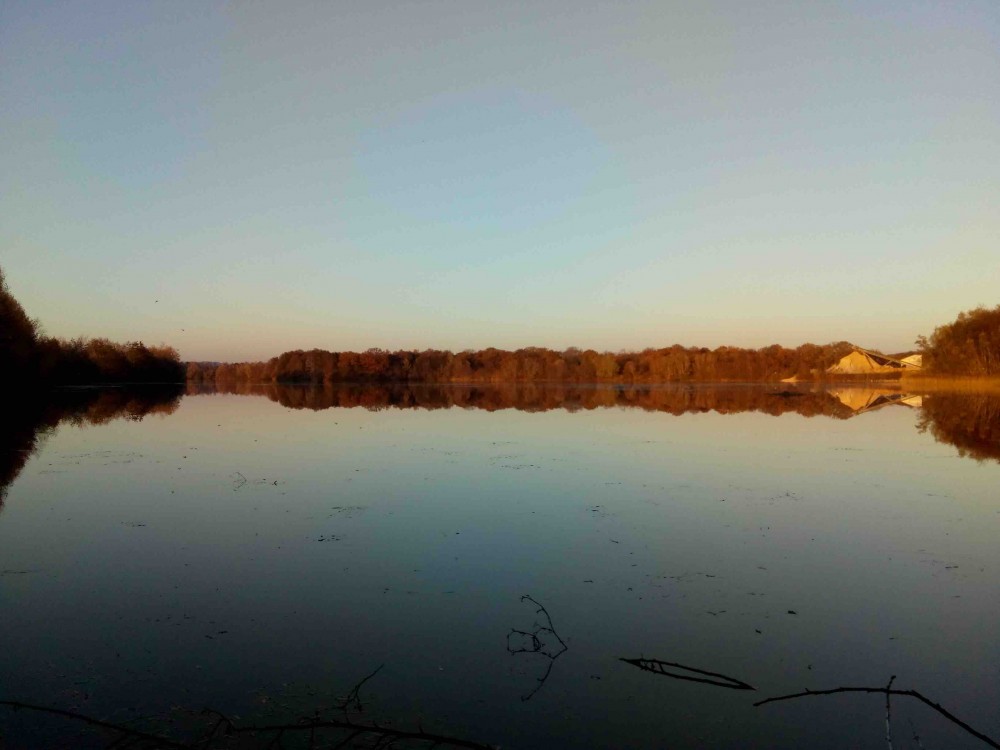 Etang à Anneville-Ambourville.jpg