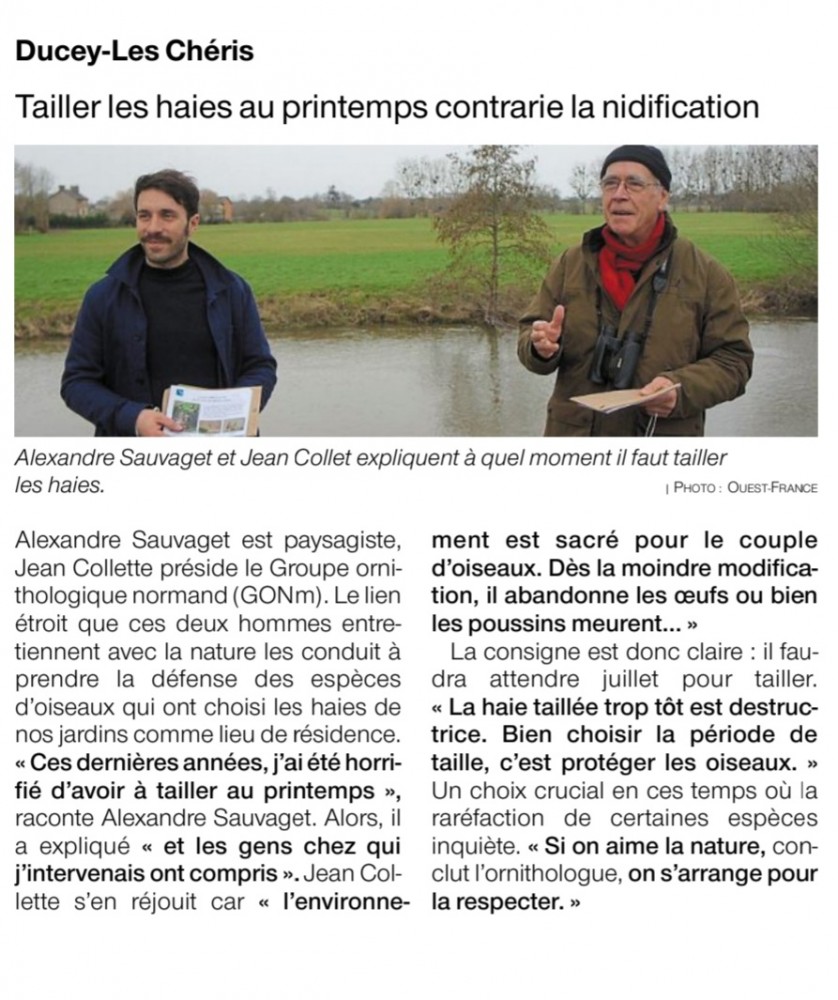 tailledehaieOF5_25_02_2021.jpg (250.66 Kio) Vu 8181 fois Ouest-France_50_Ducey_25_02_2021