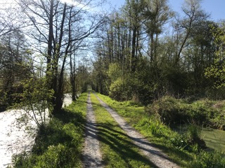 marais de la Dives 2