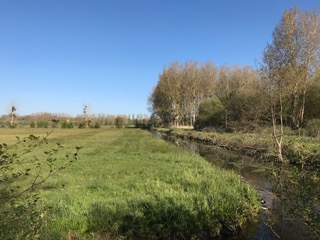 marais de la Dives 1