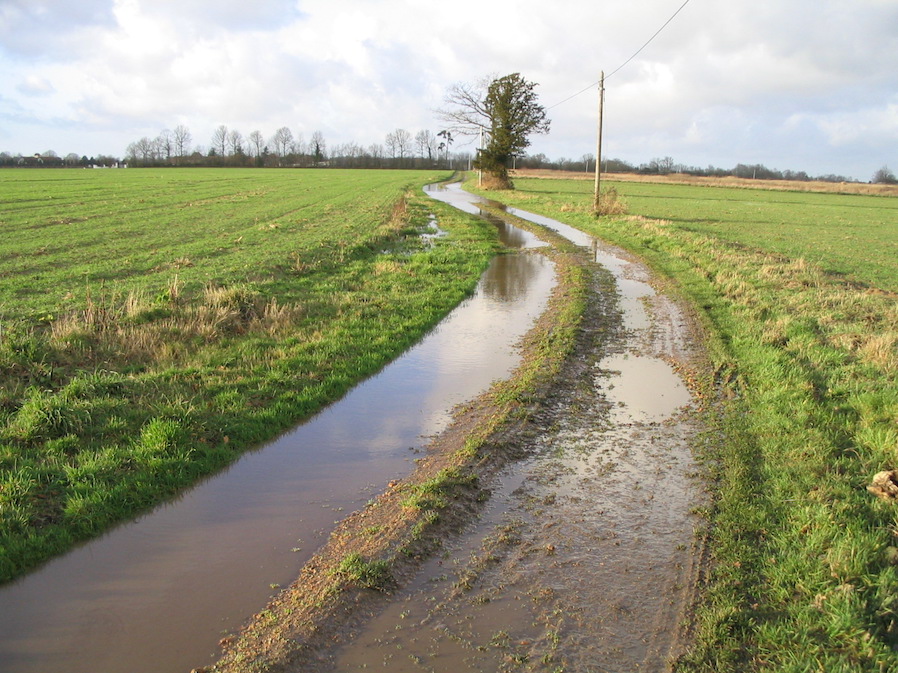 24/01/2004- Il existait une mare de chaque côté de ce tronçon de chemin auparavant.