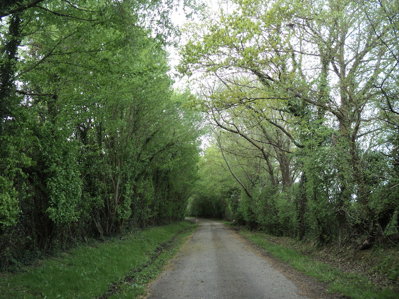 Pont-L'Evêque, chemin et belles haies bocagères