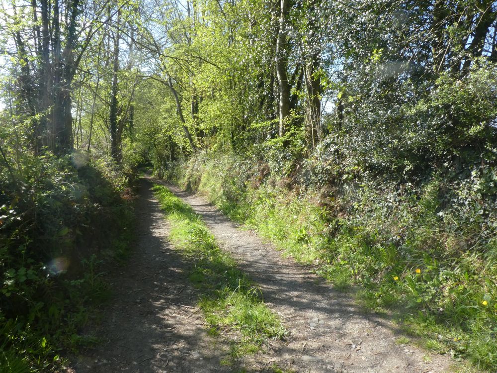 Un joli chemin ombragé qui part de la route et se perd dans le bocage.