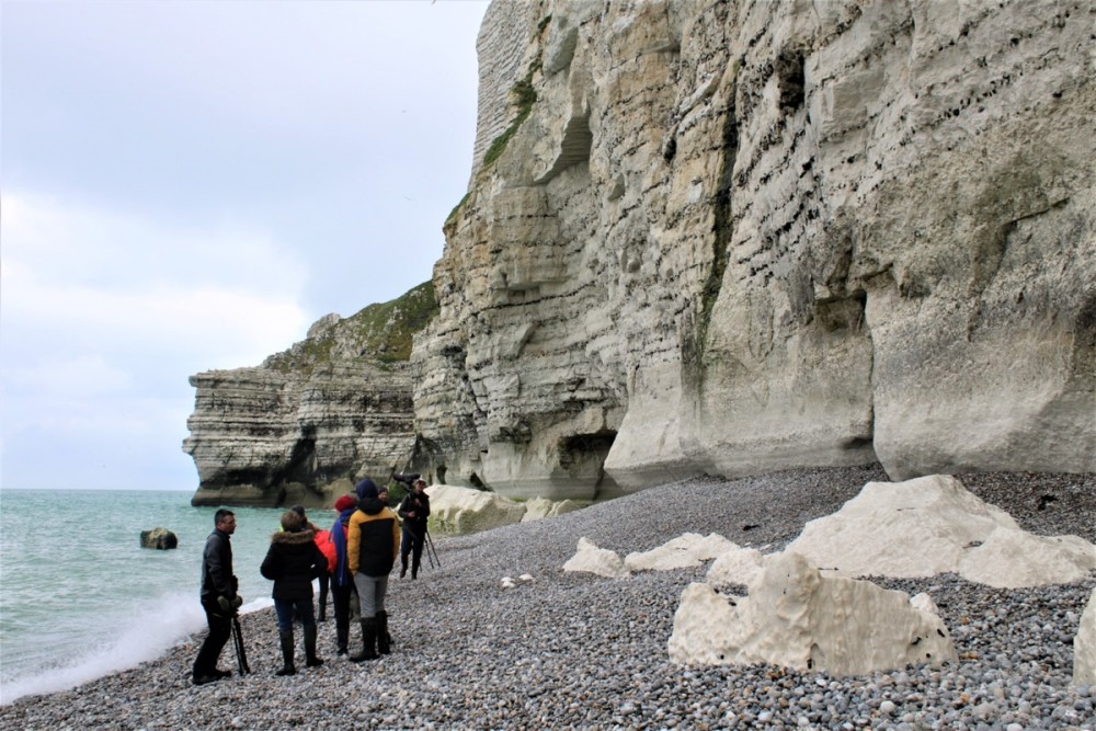 Les stagiaires sous la colonie de tridactyle (Photo Sophie Guillotin)