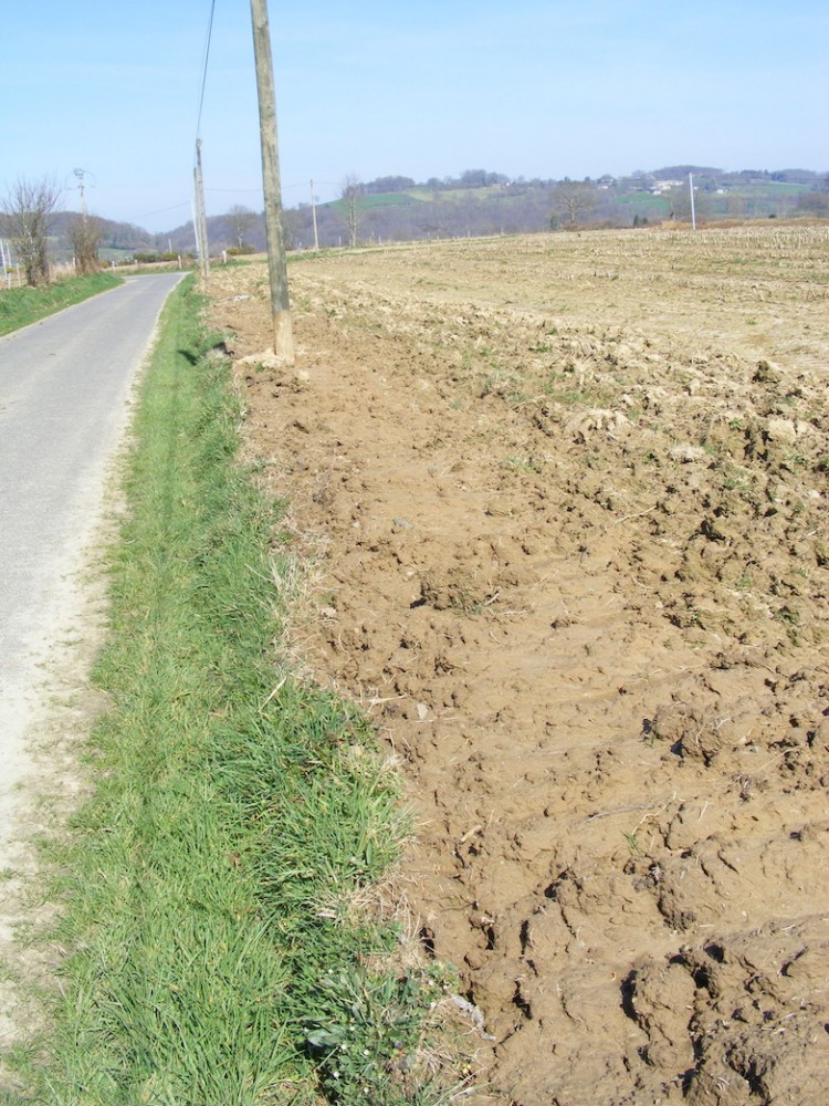 Labour irrespectueux de la berme.<br />Mars 2009, Tirepied/50