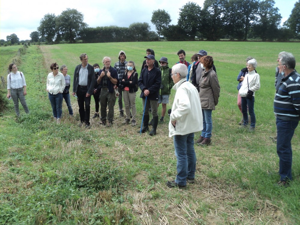 Commentaires agronomiques au cours du parcours