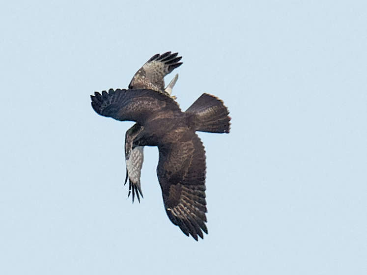 Une situation confuse 19h 42' 49"