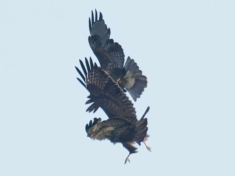 La situation redevient confuse 19h 42' 52"