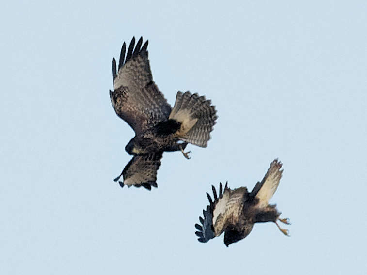 Deuxième tentative de dégagement 19h 42' 53"