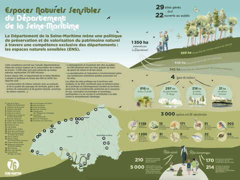 Infographie politique ENS copie.png