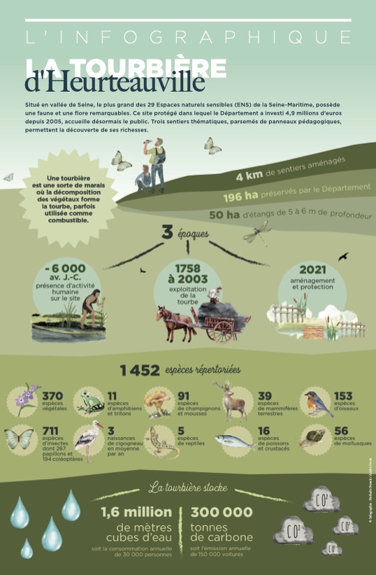 Tourbiere Heurteauville infographie copie.jpg