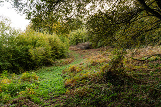 Chemin &quot;ouvert&quot;