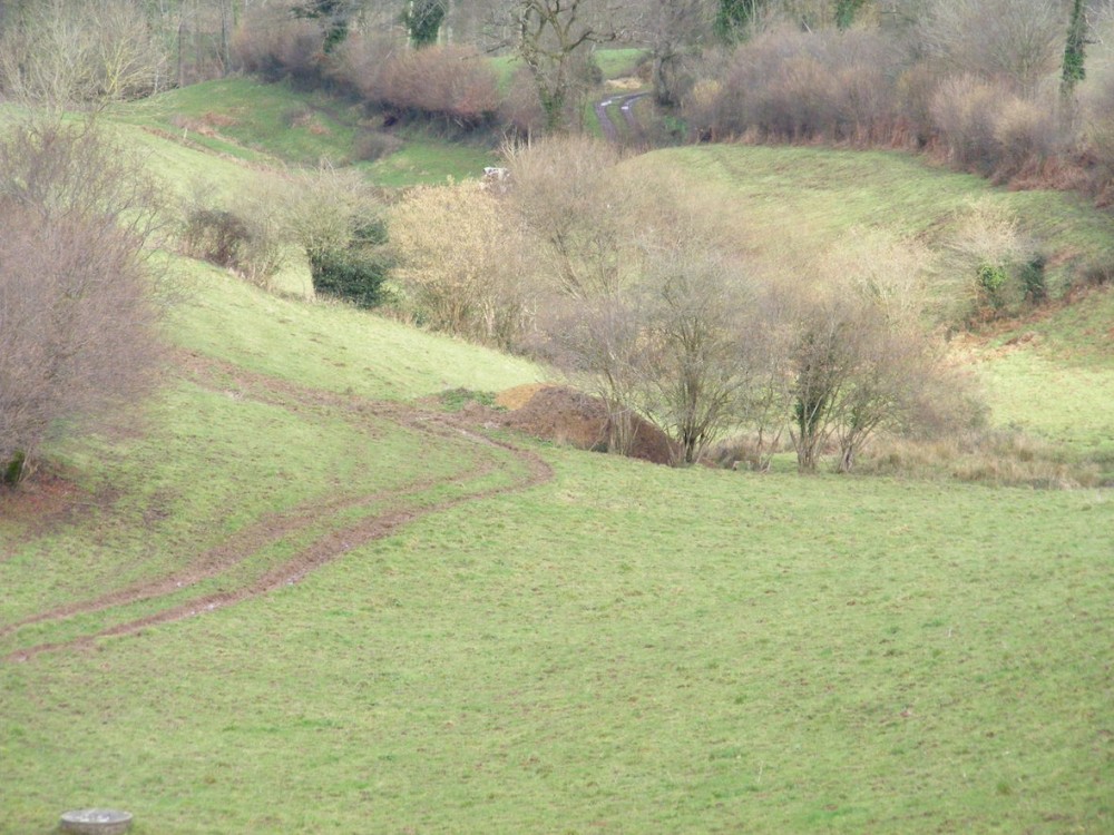 Dépôt sur source : la présence des saules puis des joncs localise bien le tracé souterrain de l'eau.<br />Montaigu-les-Bois/50 La Fouberdière Février 2013