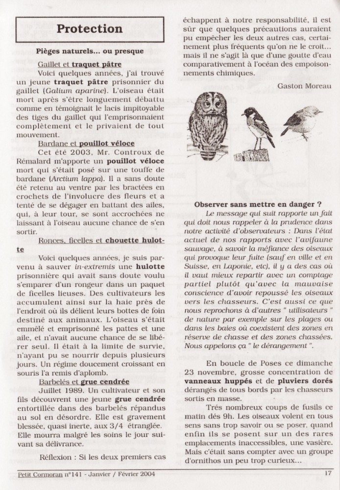 G. Moreau (2004)- Pièges naturels... ou presque. Le Petit Cormoran. n°141. Janvier-février 2004. p 17.