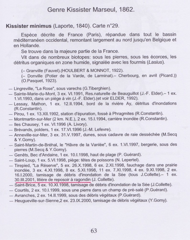 La plate forme du ragondin renferme des invertébrés comme ici un coléoptère histéridé (dét. Yves Gomy). Par contre, difficile de dire si ce prédateur est là parce que le flot de l'inondation l'y a amené ou s'il y chassait ses proies sur d'éventuelles crottes.