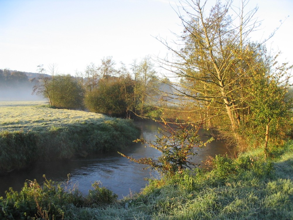 octobre 2017.jpg (405.75 Kio) Vu 5465 fois L'original, octobre 2007. La ripisylve et ses ormes morts, ses aulnes mourants.