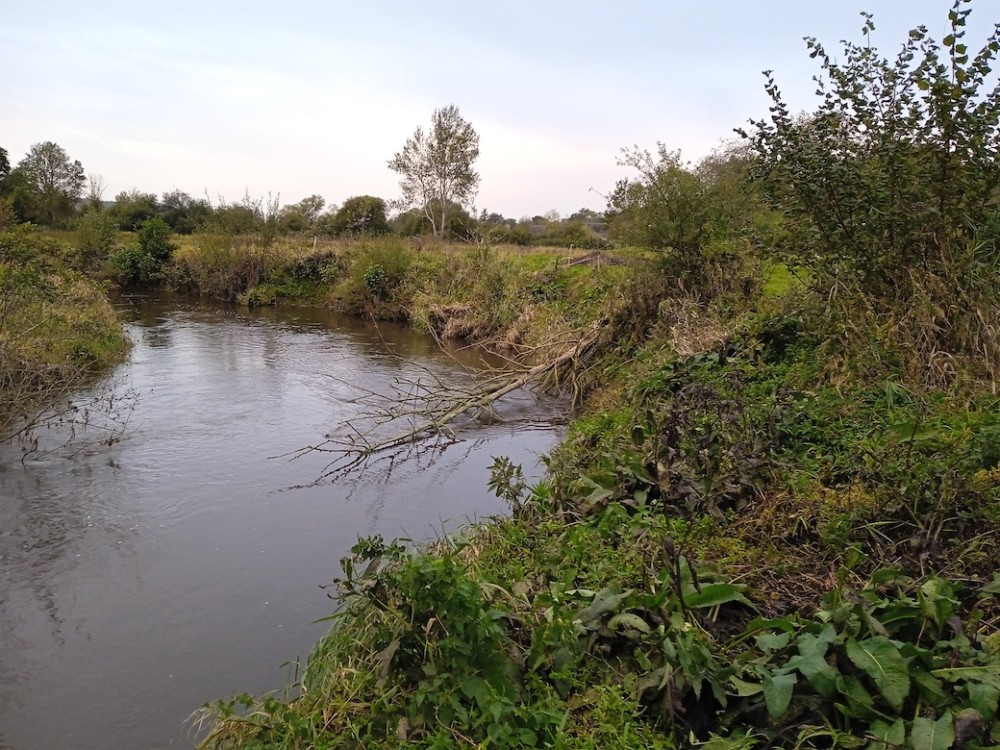 octobre 2021.jpg (466.88 Kio) Vu 5465 fois Octobre 2021, après les travaux de restauration du programme Natura 2000... Un bel espace de comptages expérimentaux en cours : combien "coûte" en nombre d'oiseaux ces modifications? Réponse à venir.