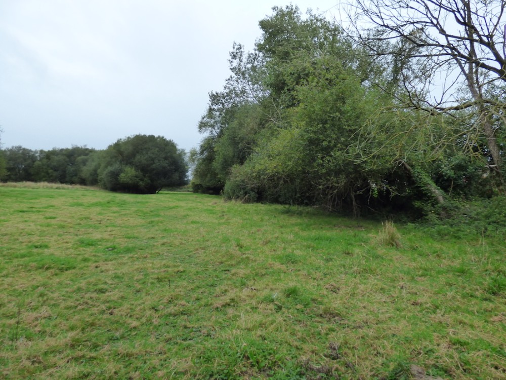 A.jpg (483.07 Kio) Vu 6977 fois Etat initial début septembre 2020: les saules et surtout les pruniers myrobolants se couchent de plus en plus et deviennent ingérables. Le chantier en cours sur la Sée voisine est l'occasion d'utiliser les machines de coupe au passage.