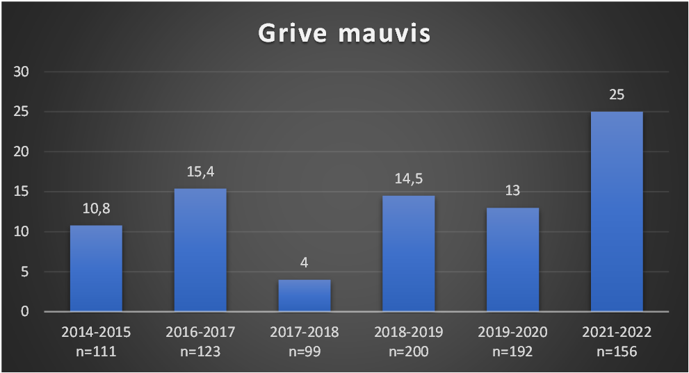 Constance de la grise mauvis