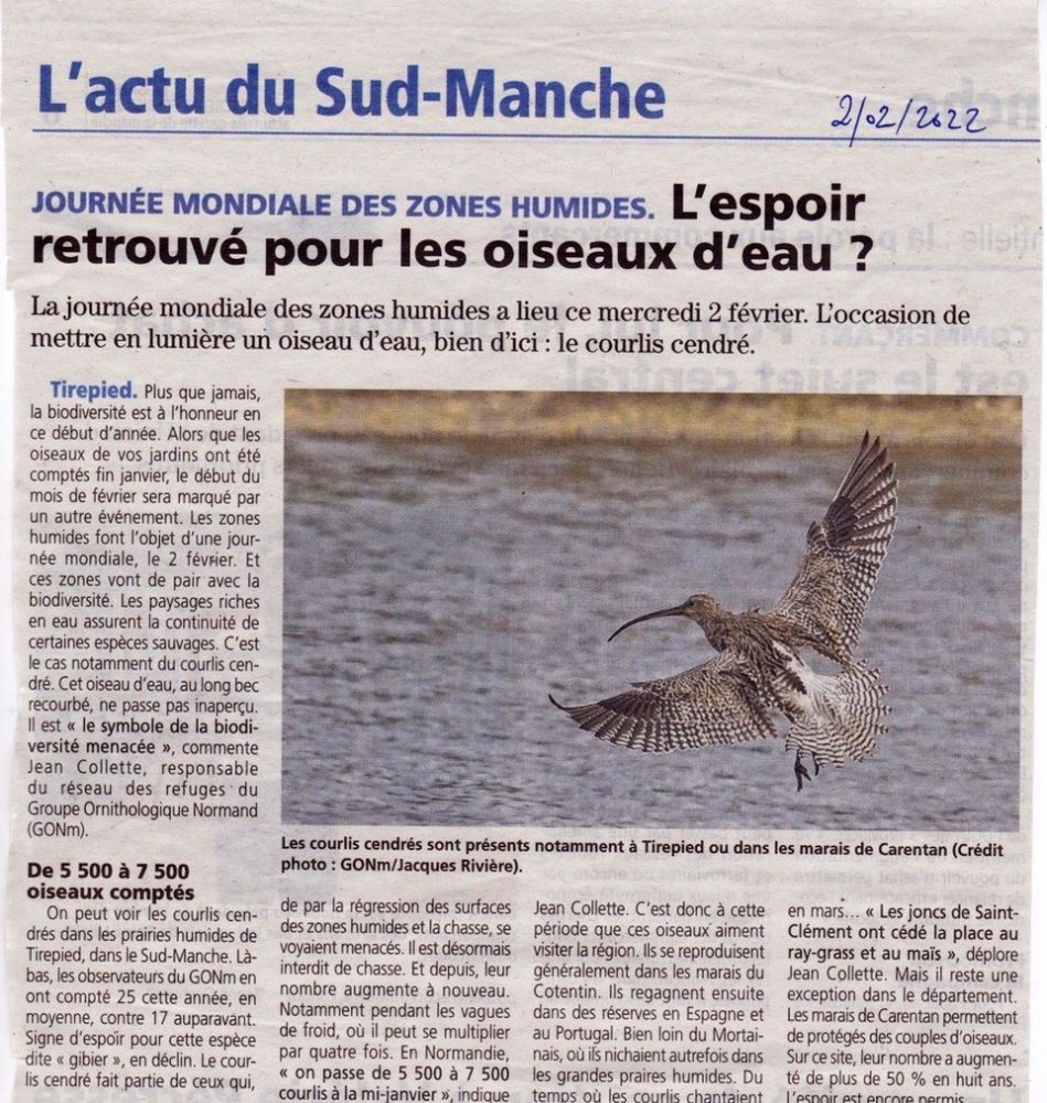 Courlis_50_ML_2022_02_03.jpeg (256.48 Kio) Vu 4060 fois Manche Libre 2022_02_02