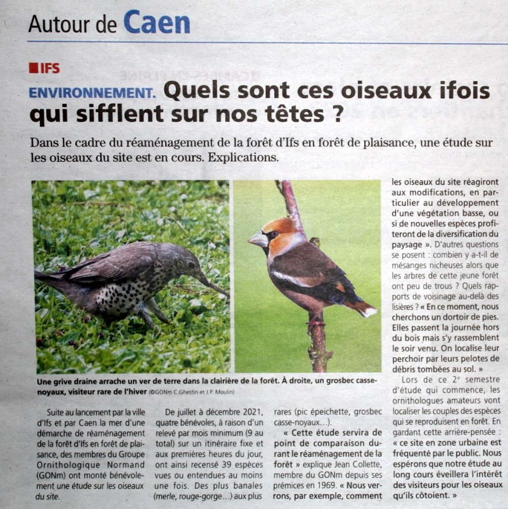 Ifs_Liberté_14_2022_02_01.jpeg (295.3 Kio) Vu 4052 fois Hebdo Liberté 2022_01_27