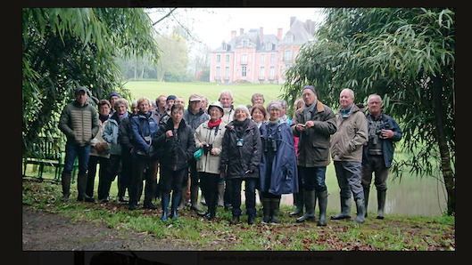 Un refuge prestigieux: le parc du château de Chantore à Bacilly. Cygne tuberculé mais aussi pic noir...