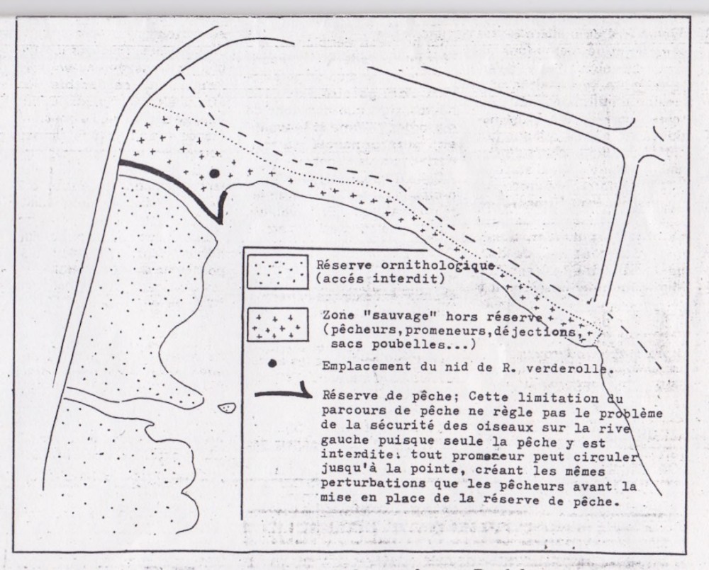 4.jpg (250.81 Kio) Vu 8790 fois Plan extrait du bilan : la limite rive gauche de la réserve n'est pas cohérente : l'accès y est autorisé, fragilisant la tranquillité du site. L'abandon du nid de rousserolle verderolle en est sans doute une conséquence.