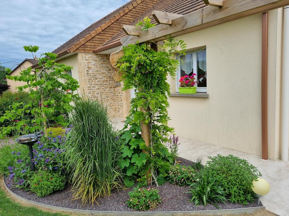 1 : Une fenêtre, une jeune glycine sur pergola.