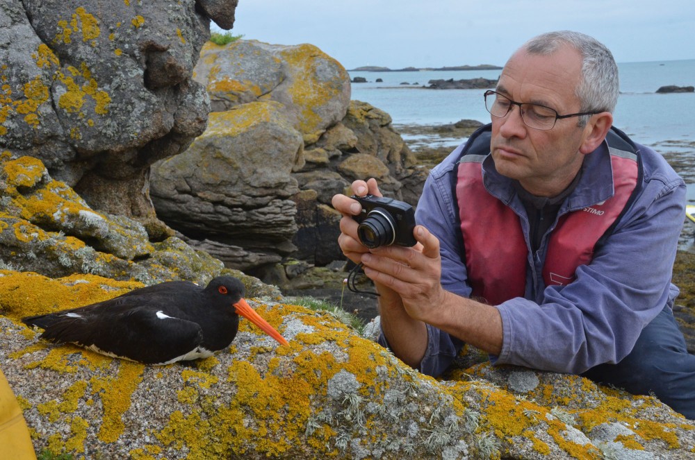 2019, Gilles à Chausey. Photo X. Corteel