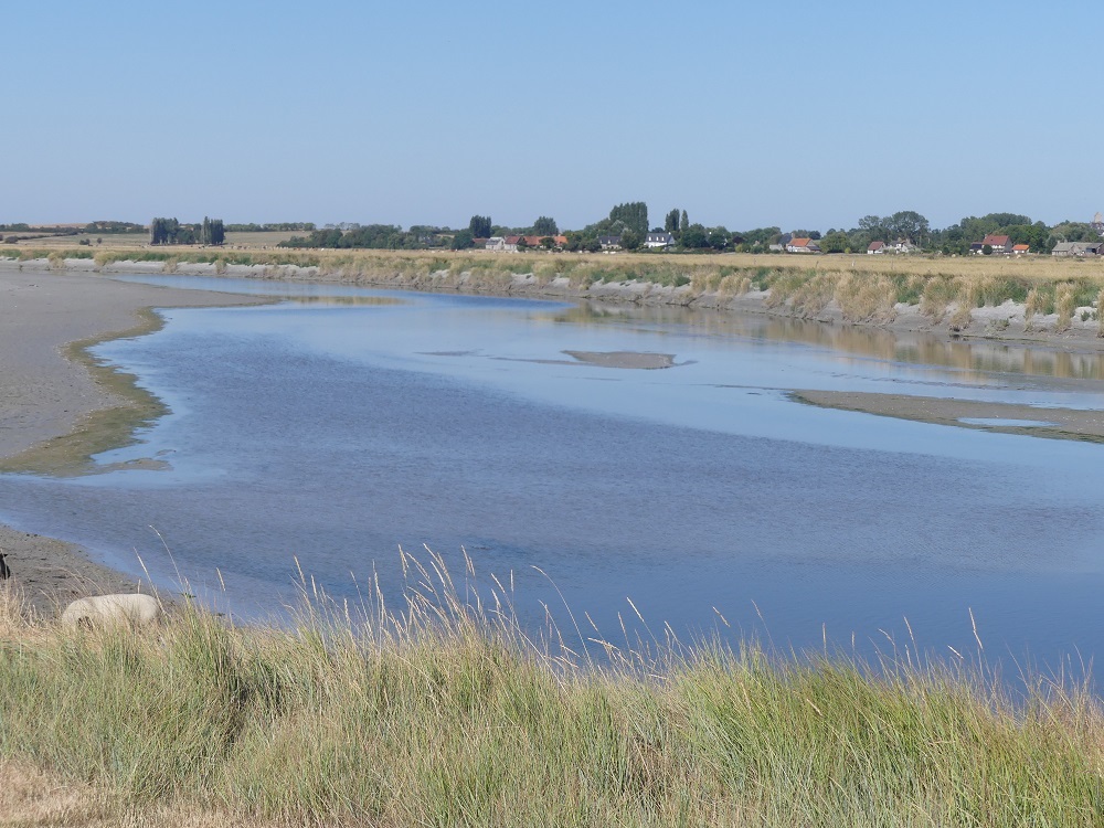 estuaire de la Sée.JPG