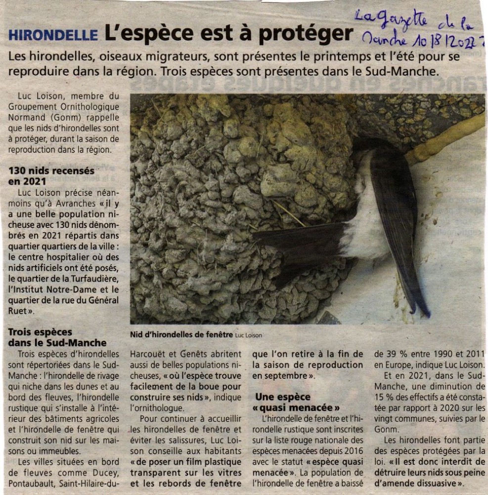 hirondelle_GDLM_50_2022_08_10.jpg (300.62 Kio) Vu 226254 fois La Gazette de la Manche 2022_08_10