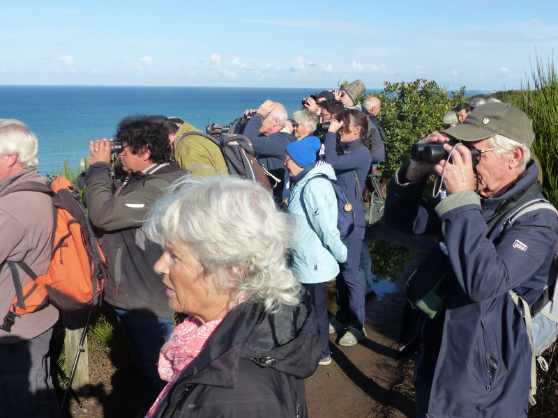 observateurs sur le cap de Carolles. Photo X Corteel