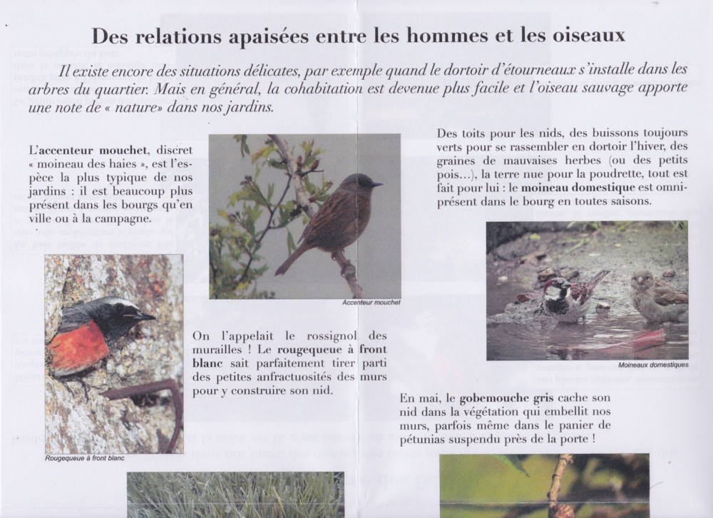 verso déplié partie haute. Le titre rappelle qu'au cours des siècles passés, les oiseaux ont été tués (&quot;nuisibles&quot; en compétition avec les cultures ou les élevages), tirés comme gibier ou nuisibles, mis en cage, plumés (industrie de la plumasserie)...