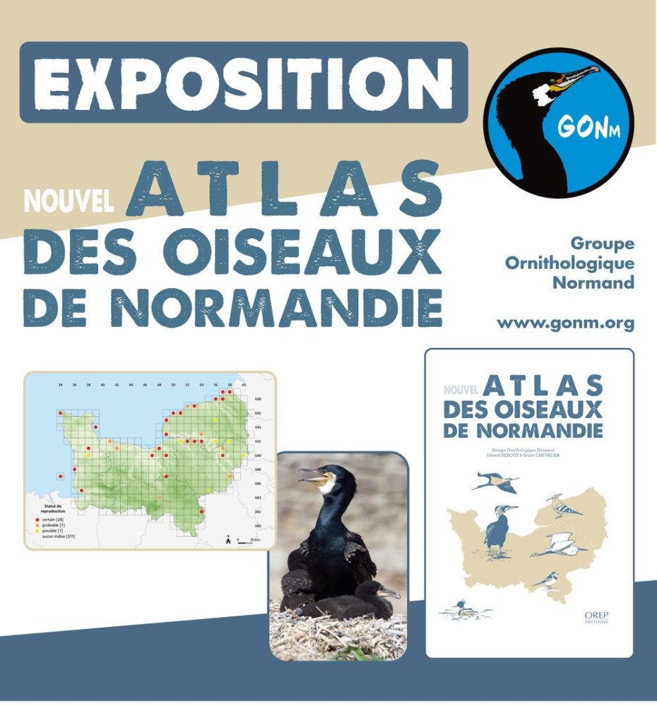 affiche-expo-atlasred.jpg (141.83 Kio) Vu 3775 fois Affiche de l'exposition.