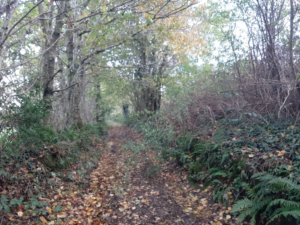 Le chemin communal bordant le refuge