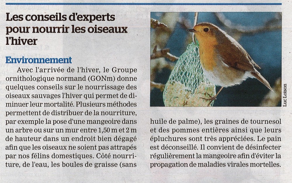 décembre 24 GONm La Manche Libre.jpeg (515.31 Kio) Vu 2578 fois La Manche Libre Sud Manche