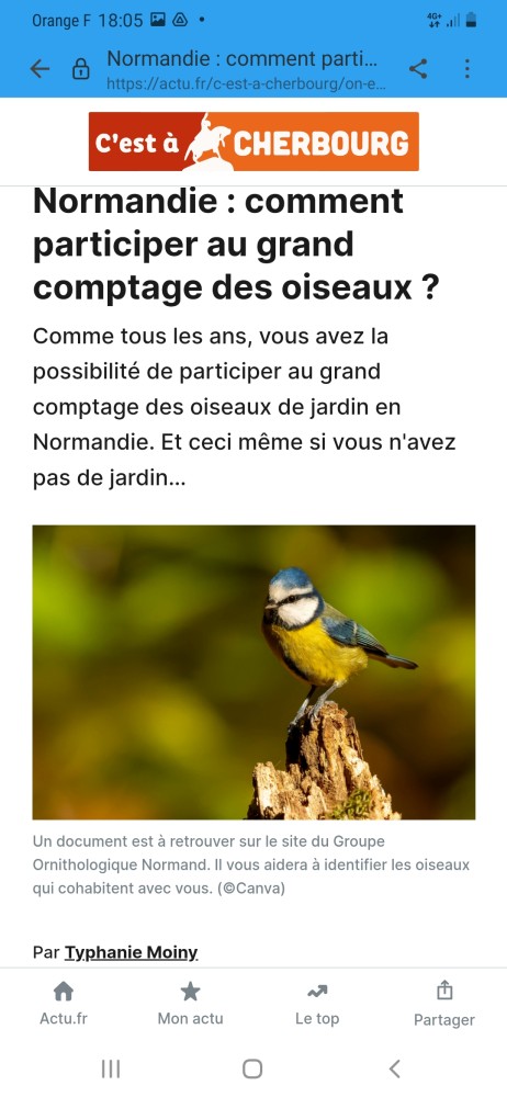 Cherbourg_OF_20230126.jpg (701.79 Kio) Vu 2897 fois C'est à Cherbourg